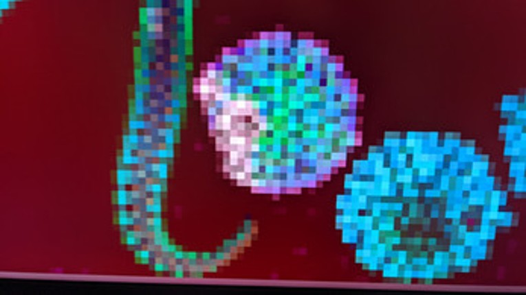 the worm game (SOUP 1.0) screenshot