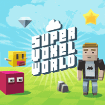 Super Voxel World Image