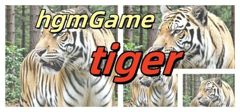hgmGame-tiger Image