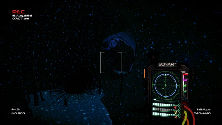 SONAR Image