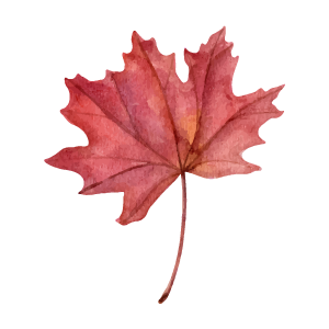 Games like Autumn Leaves