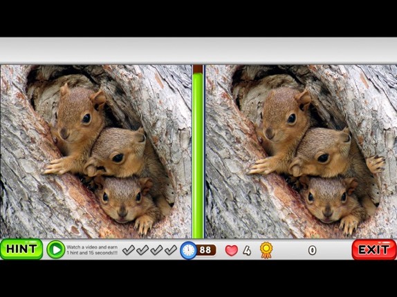 What is different? Animals Edition screenshot