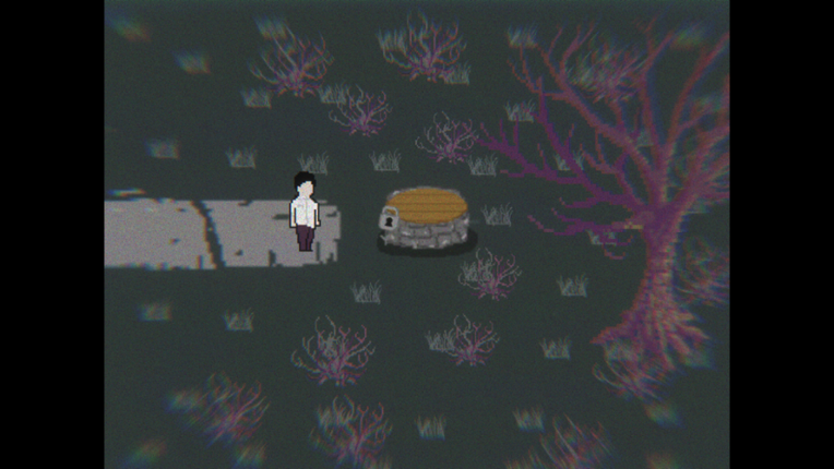 Woods Of Disturbance screenshot