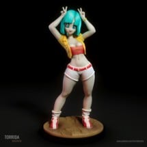 202212 -  Bulma Image