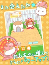 AfroHamsterPlus ◆ The free Hamster collection game has evolved! Image