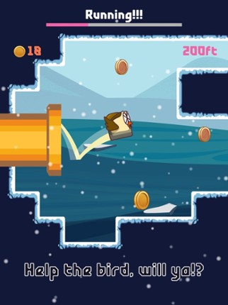Bird Watch Game: learn to flap screenshot