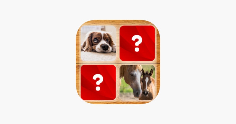 Brain Game - World Animals Image
