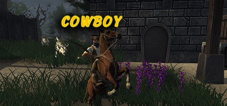 Games like Cowboy