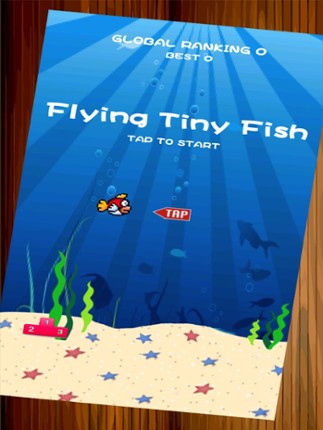 Flying Tiny Fish - The Adventure Of A Tiny Bird Fish Image