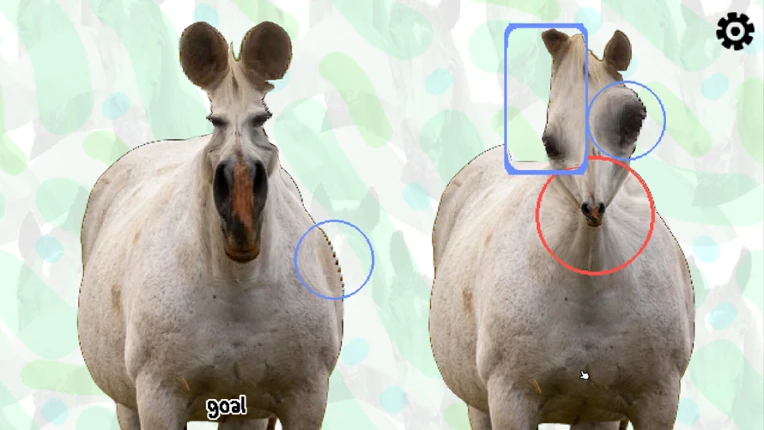 Horse Magnifier: The Full Horse Image