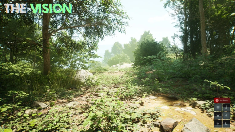 The Vision Image