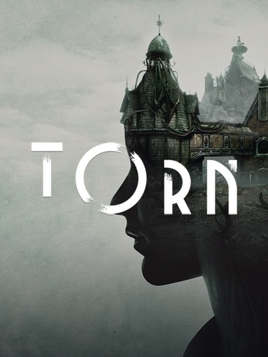 Games like Torn