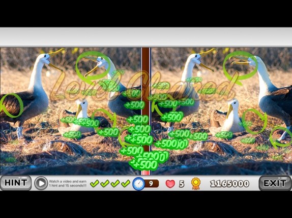 What is different? Animals Edition screenshot