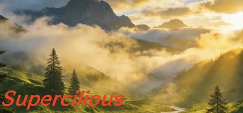 Supercilious Image