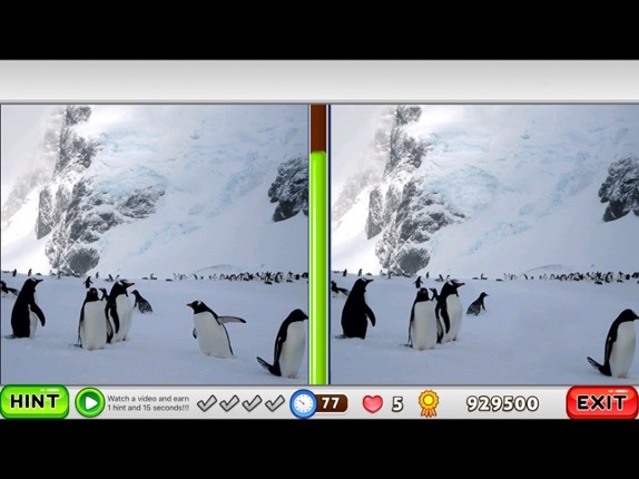What is different? Animals Edition screenshot