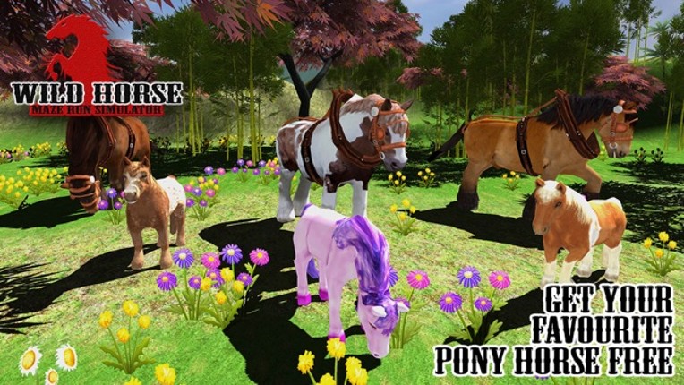 Wild Horse Maze Runner Simulator 2017 Image