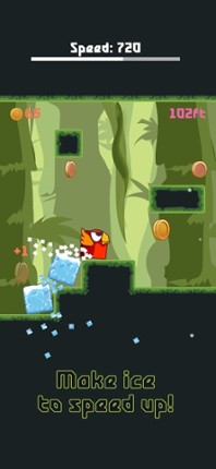 Bird Watch Game: learn to flap screenshot