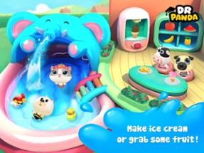 Dr. Panda Swimming Pool Image