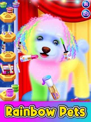 Pet Games - Animal Simulator screenshot