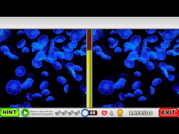 What is different? Animals Edition screenshot