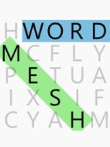 Word Mesh Image