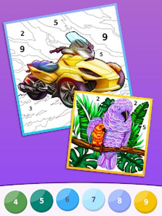 Relax Color - Paint by Number Image