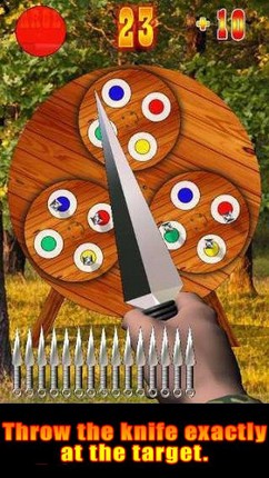 Throwing Knife Image