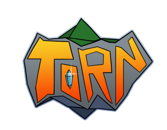 TORN Image