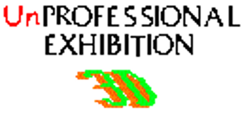 Unprofessional Exhibition 3D Image