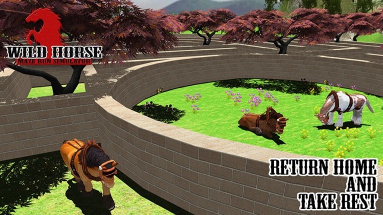 Wild Horse Maze Runner Simulator 2017 screenshot