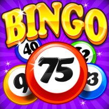 Bingo Craze Image