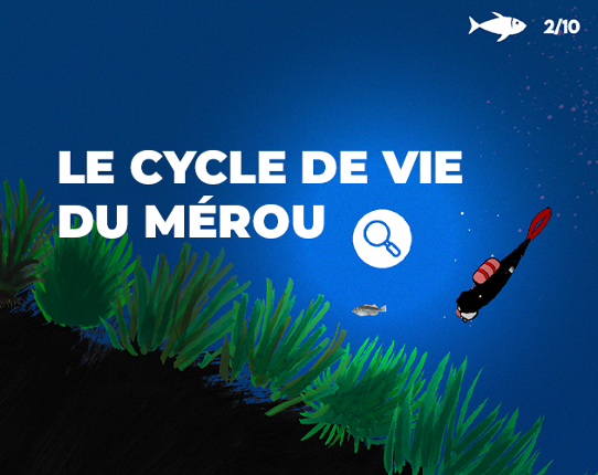 LE CYCLE DE VIE DU MEROU Game Cover