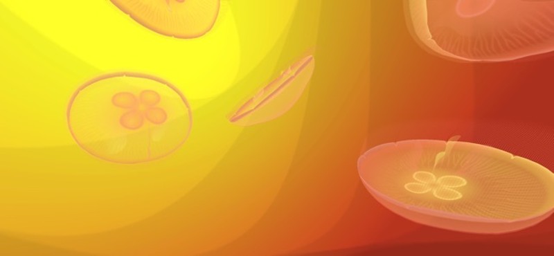 Jellyfish AR/VR 2 screenshot