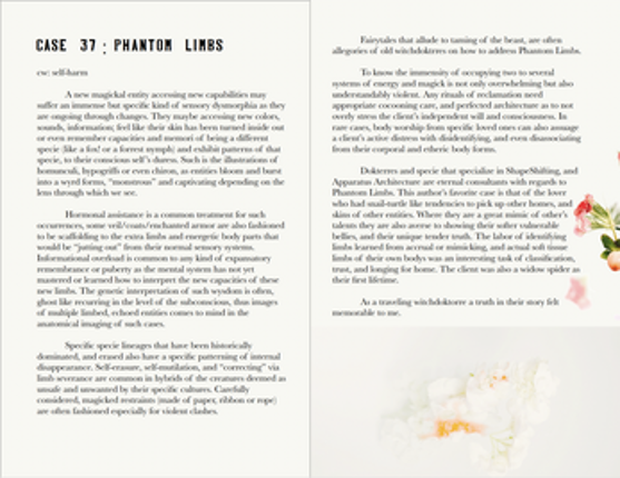 Travelling Witchdokttres Diary Image