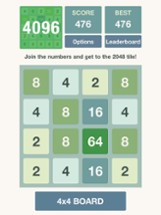 4096 - The Puzzle Image