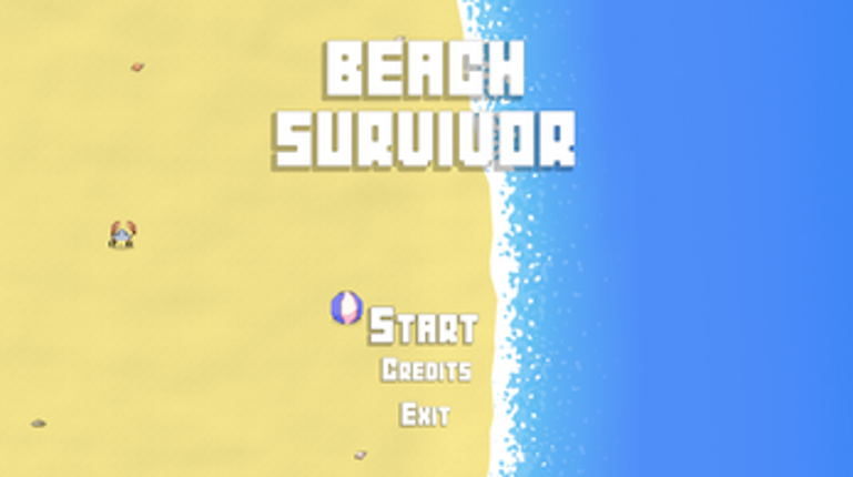 Beach Survivor Image