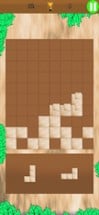 Block Puzzle Revolution Image