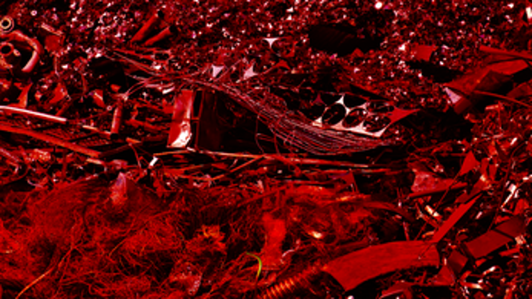 Sealess Mother Image