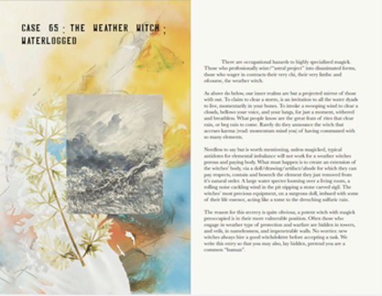 Travelling Witchdokttres Diary Image