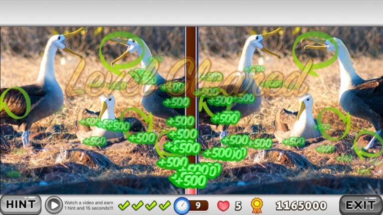 What is different? Animals Edition screenshot