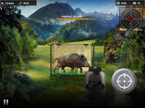 Wild Boar Target Shooting Image