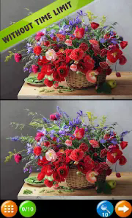 Find the Difference adults kid screenshot