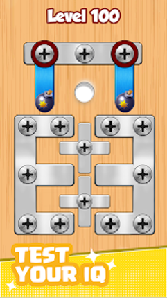 Screw Pin: Nuts & Bolts screenshot