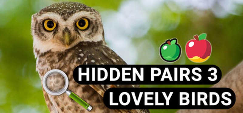 Hidden Pairs 3: Lovely Birds - Hidden Objects Image