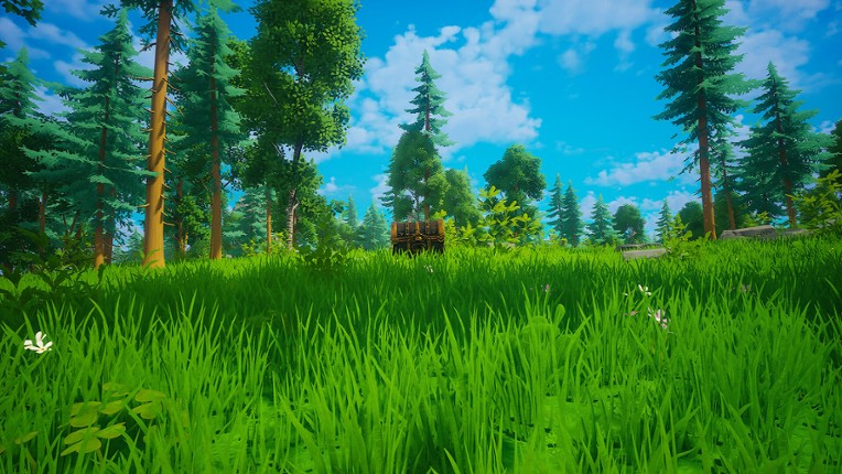 My Money Grows On Trees screenshot