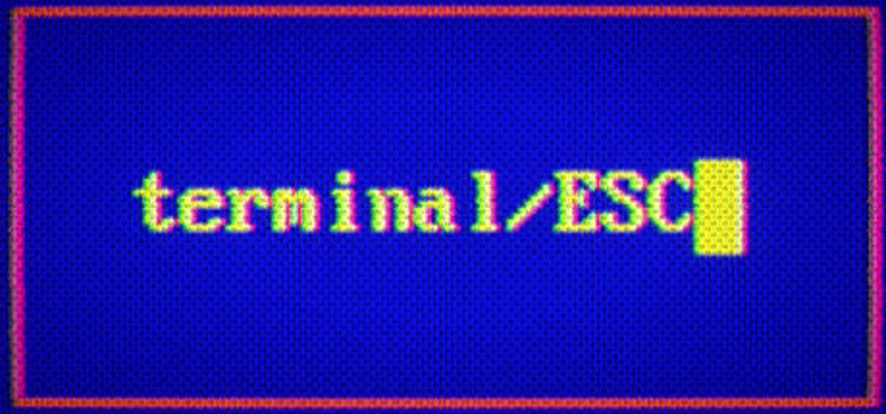 Terminal ESC Image