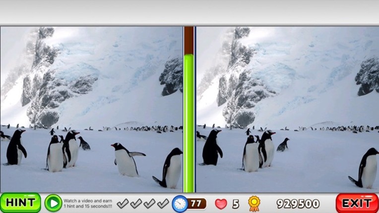 What is different? Animals Edition screenshot