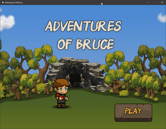 Adventures of Bruce Game Cover