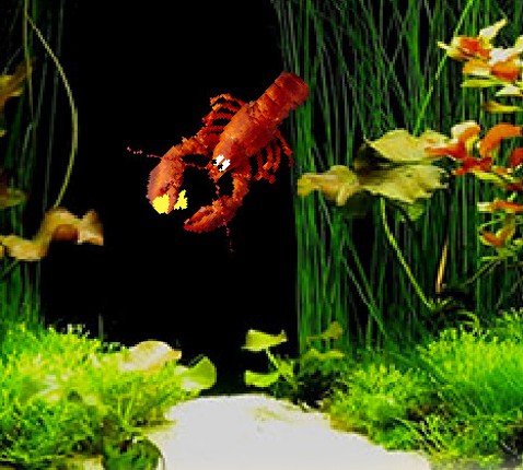 Aquarium Life screenshot