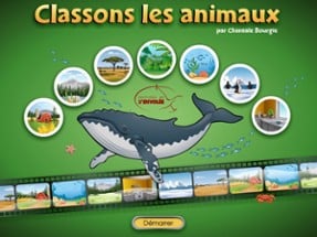 Classons les animaux Image